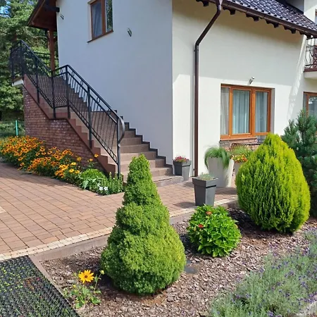 Alma ミコシェボ