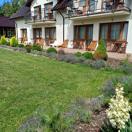 Alma ミコシェボ