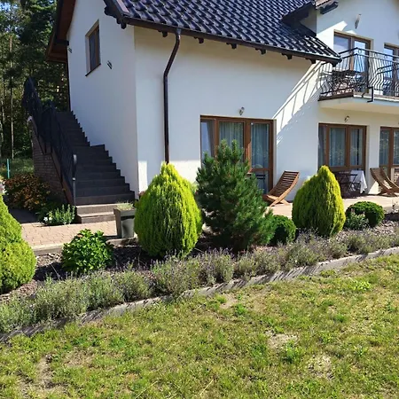 Alma * ミコシェボ